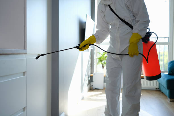 Professional Mold Removal in Simmesport, LA